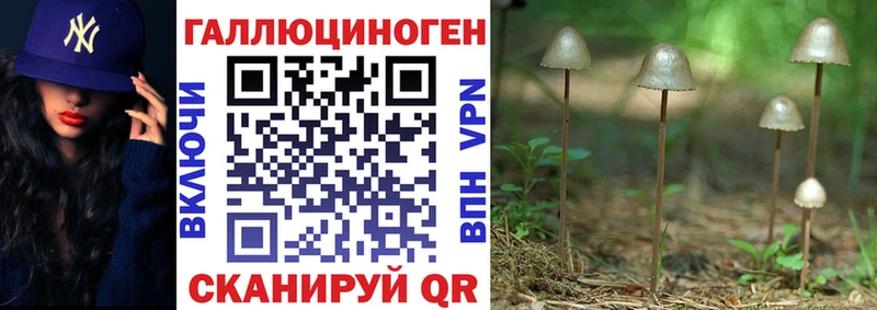 Галлюциногенные грибы ЛСД  Берёзовский 